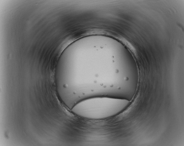 X0000097870953200803140915