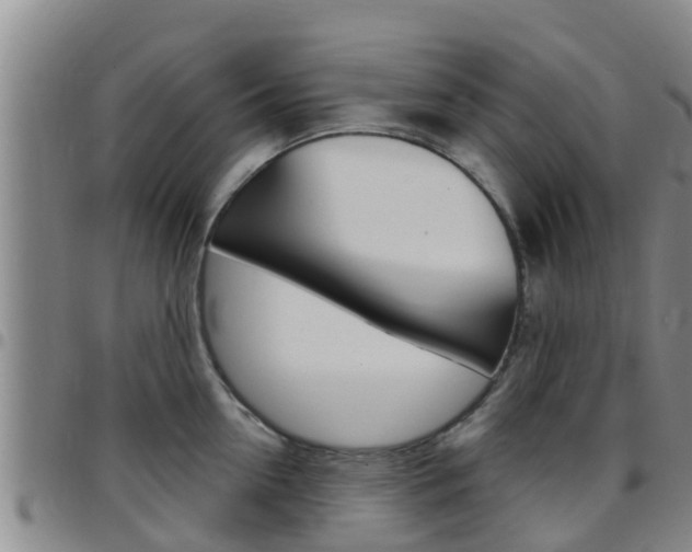 X0000097870954200803140915