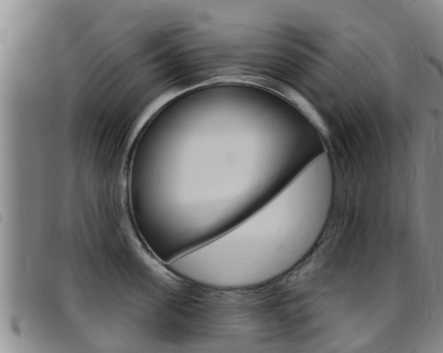 X0000097870955200803140915