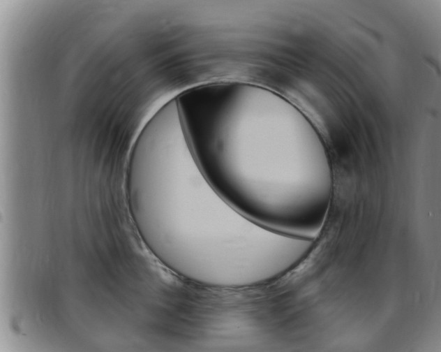 X0000097870956200803140915