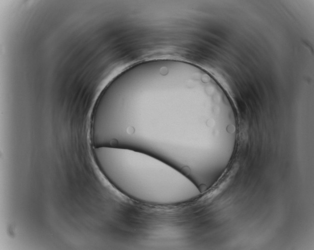 X0000097870957200803140915