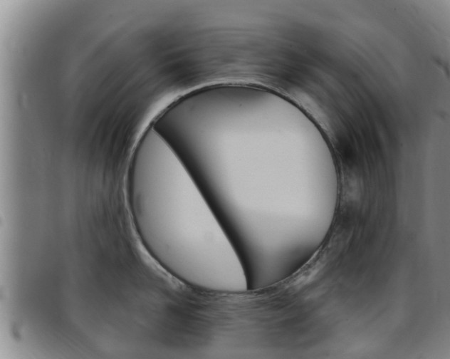 X0000097870958200803140915