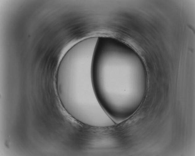 X0000097870960200803140915
