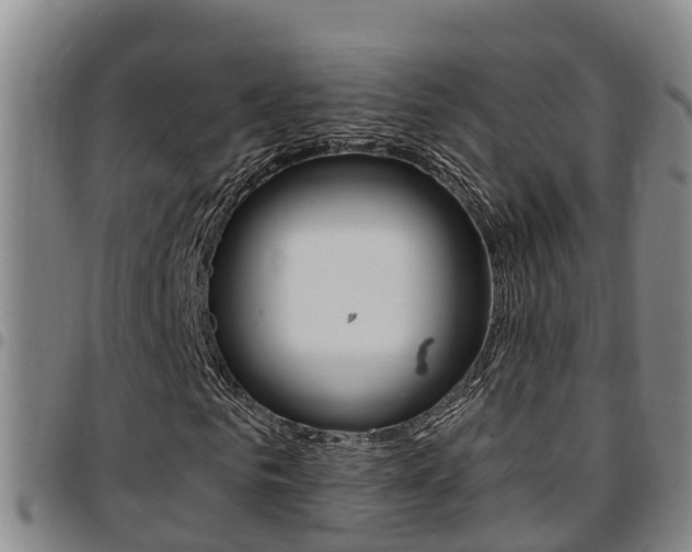 X0000097870961200803140914
