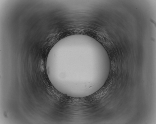 X0000097870962200803140914
