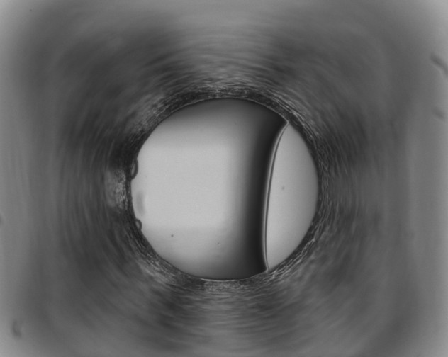 X0000097870963200803140914