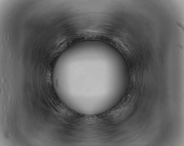 X0000097870964200803140914