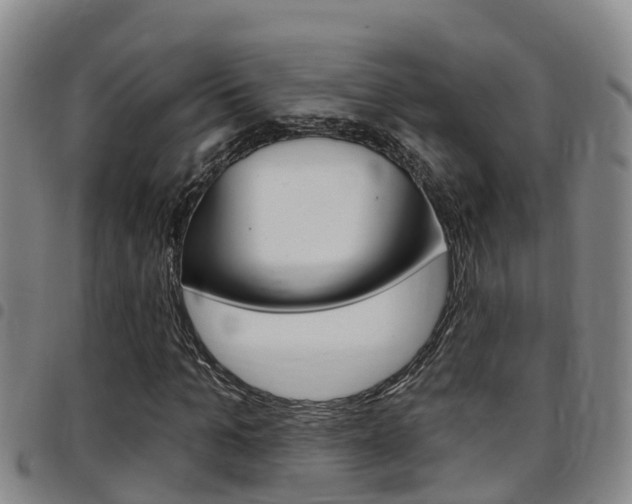 X0000097870965200803140914