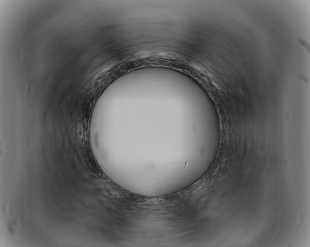 X0000097870966200803140914