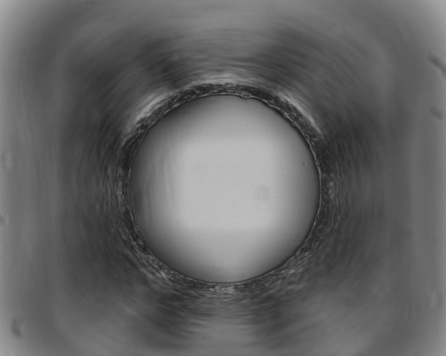 X0000097870968200803140914