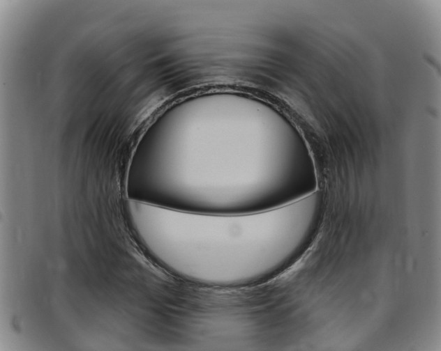 X0000097870969200803140914