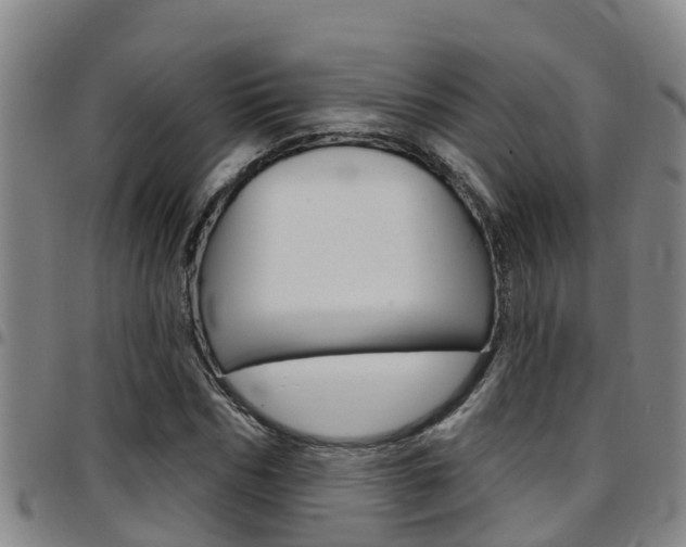 X0000097870970200803140914
