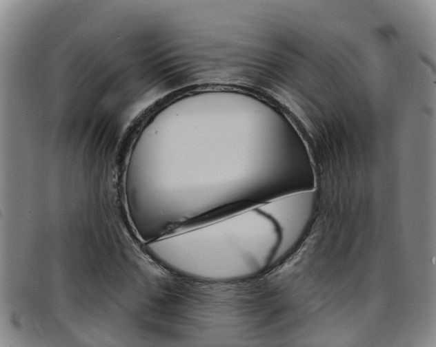 X0000097870971200803140914