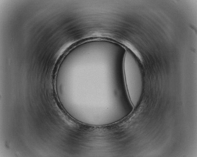X0000097870972200803140914
