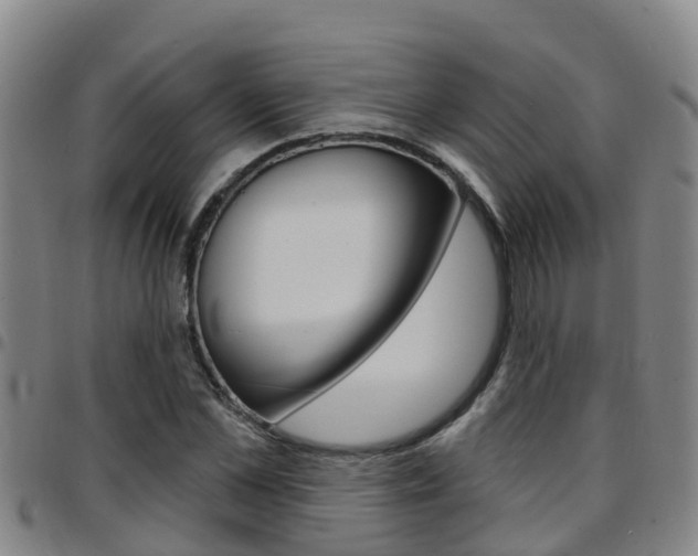 X0000097870973200803140914