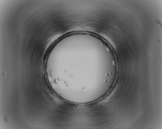 X0000097870974200803140914