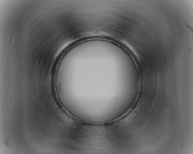 X0000097870975200803140914