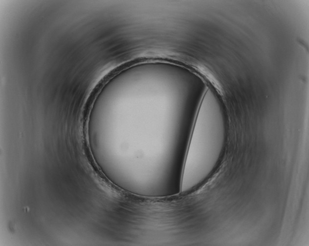 X0000097870976200803140914