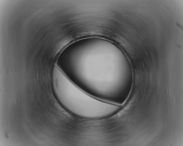X0000097870977200803140914