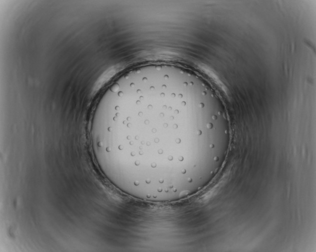 X0000097870978200803140914