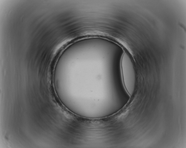 X0000097870979200803140914