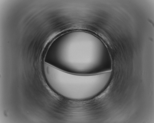 X0000097870981200803140914