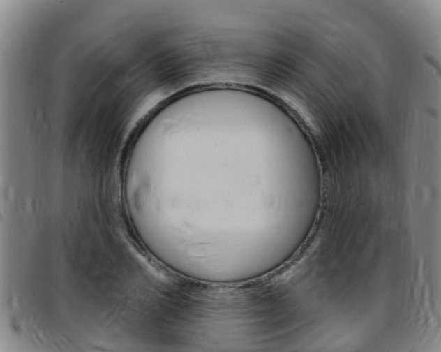 X0000097870982200803140914