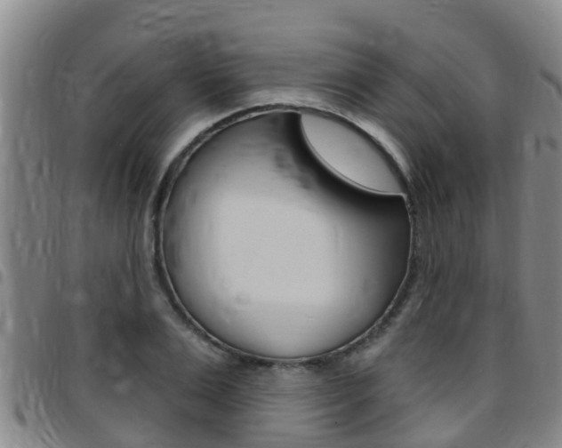 X0000097870983200803140914