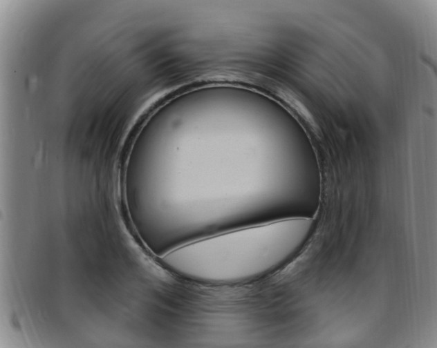 X0000097870984200803140914