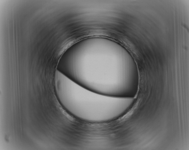 X0000097870985200803140914