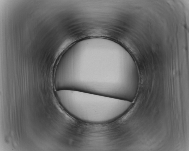 X0000097870986200803140914