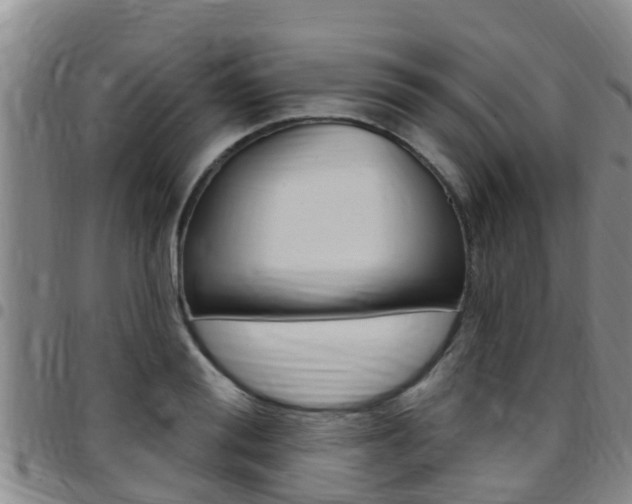 X0000097870988200803140914