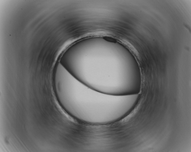 X0000097870989200803140914