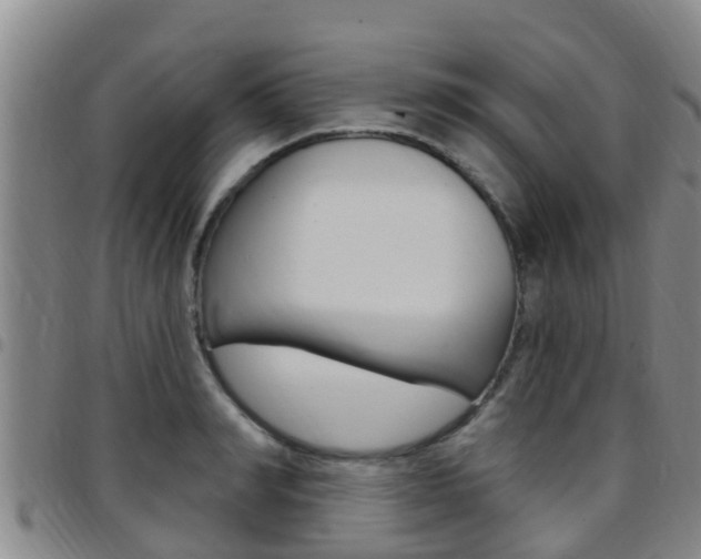 X0000097870990200803140914