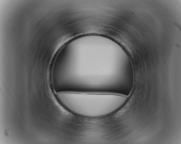 X0000097870991200803140914