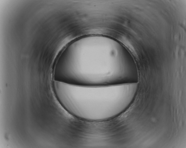 X0000097870992200803140914