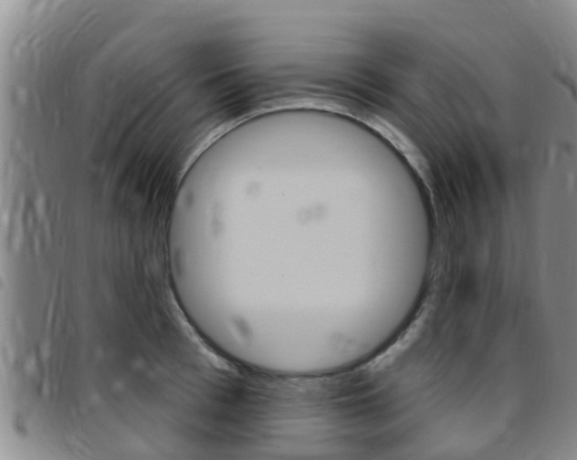 X0000097870993200803140914