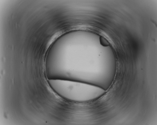X0000097870994200803140914