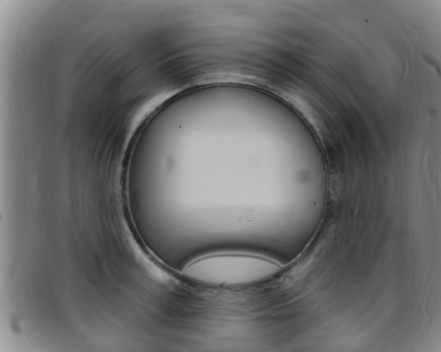 X0000097870995200803140914
