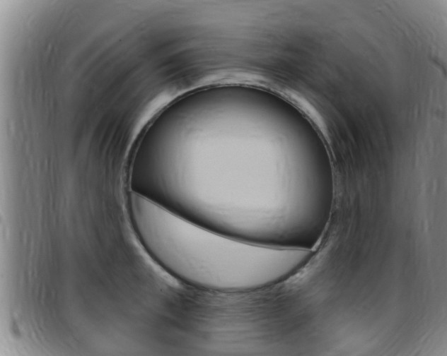 X0000097870997200803140914
