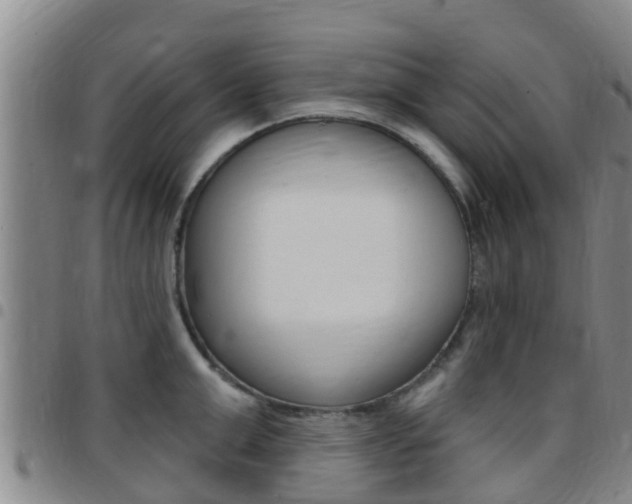 X0000097870999200803140914