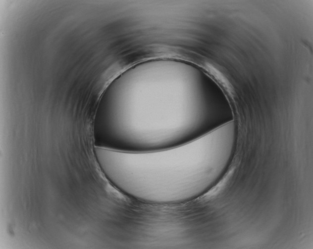 X0000097871001200803140914