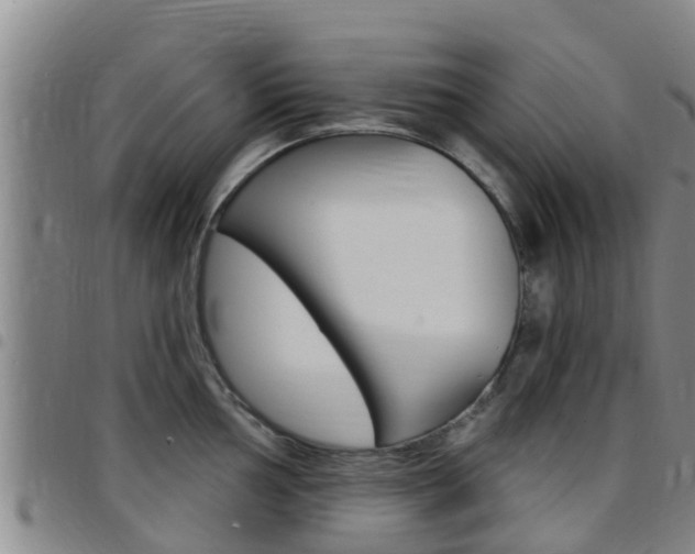 X0000097871002200803140914