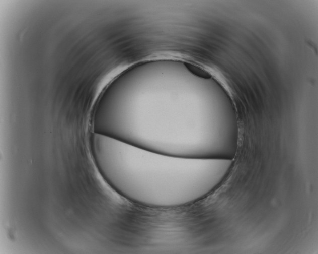X0000097871003200803140914