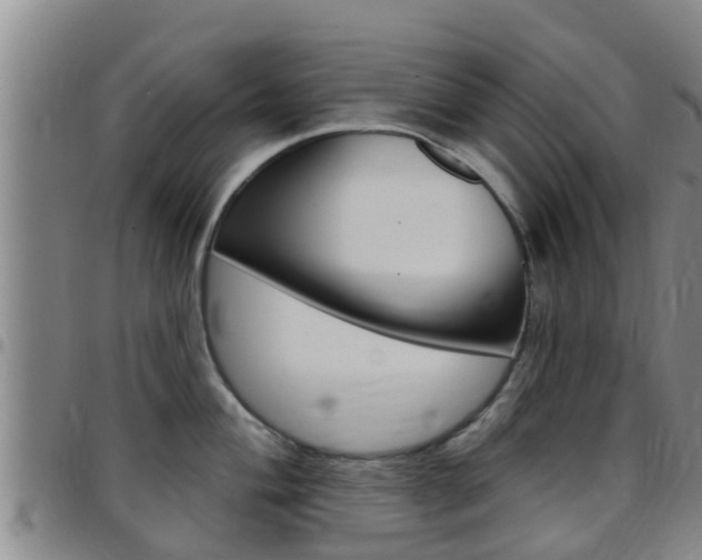 X0000097871004200803140914