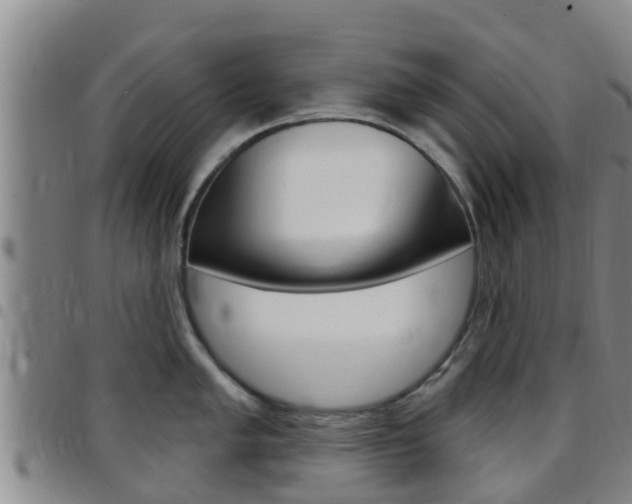 X0000097871005200803140914