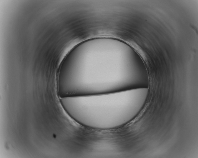 X0000097871006200803140914