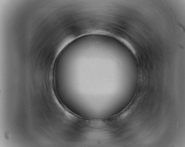X0000097871007200803140914
