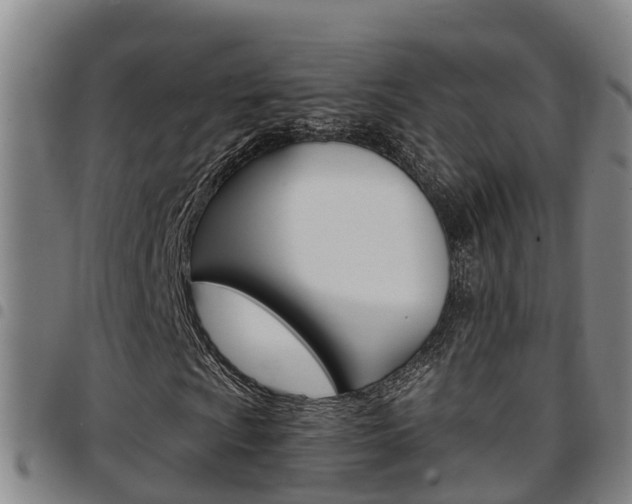 X0000097871009200803140913