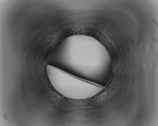 X0000097871010200803140913